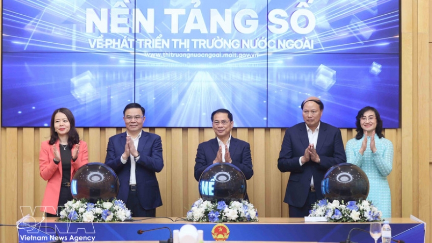 Digital platform on overseas market development launched